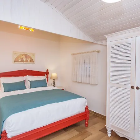 Tn - (adults Only) フェティエ