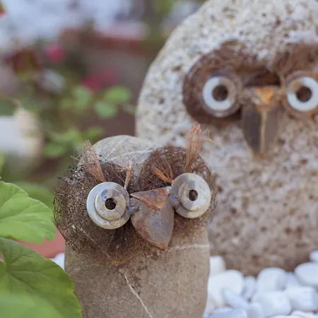 Tn - (adults Only) *