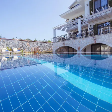 Tn - (adults Only) *