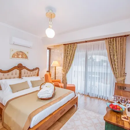 Tn - (adults Only) *