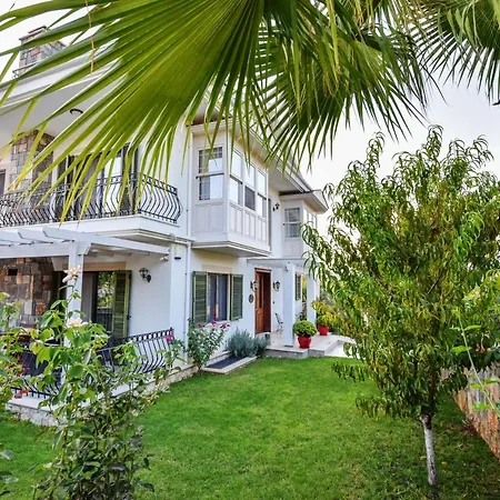 Tn - (adults Only) *