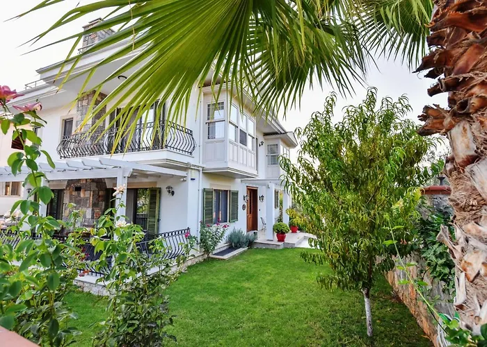 Tn - (adults Only) *