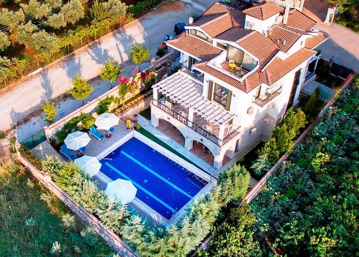 Tn - (adults Only) *