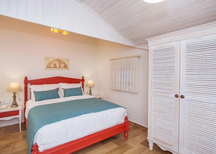 Tn - (adults Only) Φετιγιέ