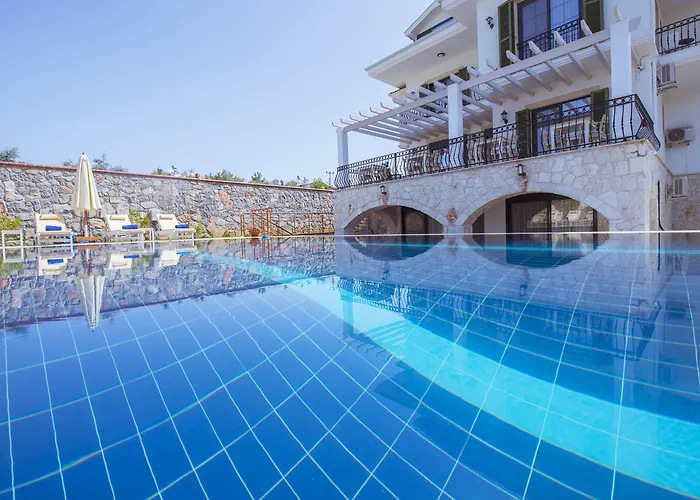 Tn - (adults Only) *