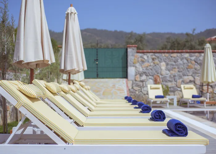 Tn - (adults Only) * Φετιγιέ