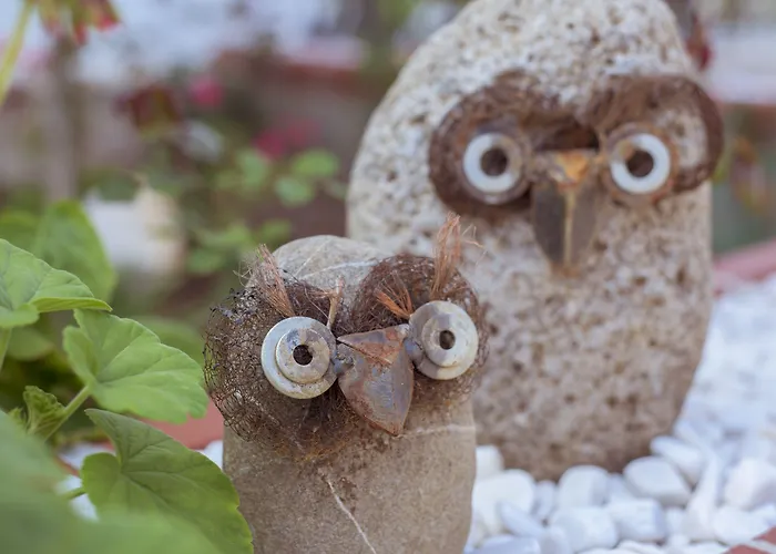 Tn - (adults Only) *