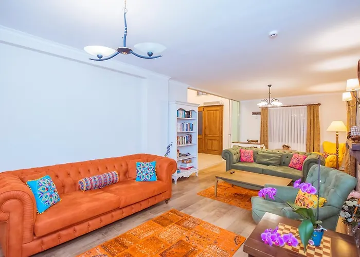 Tn - (adults Only) * Φετιγιέ